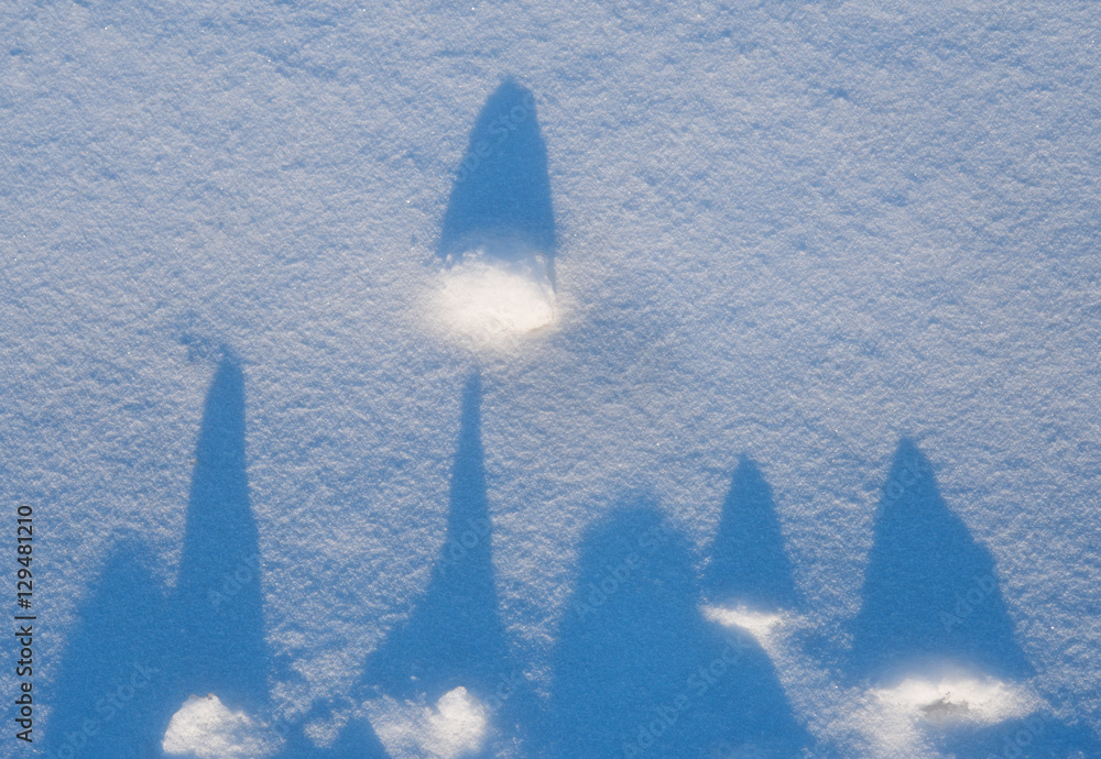 Unusual long shadows from small hummocks on snow.