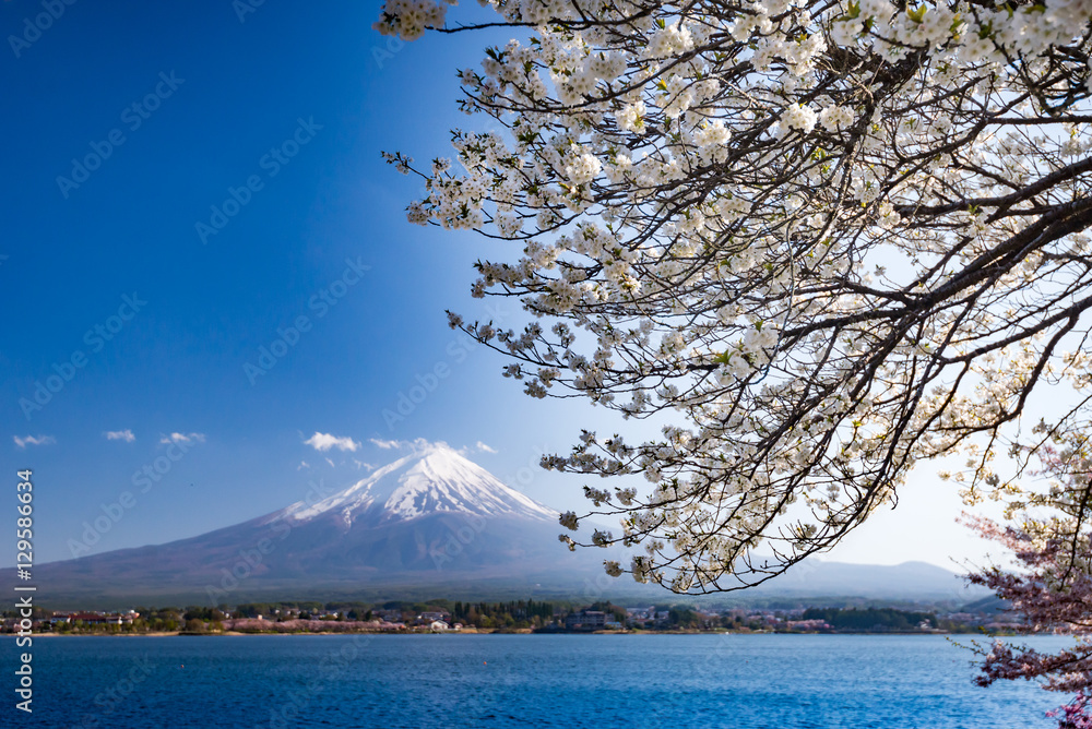 富士山