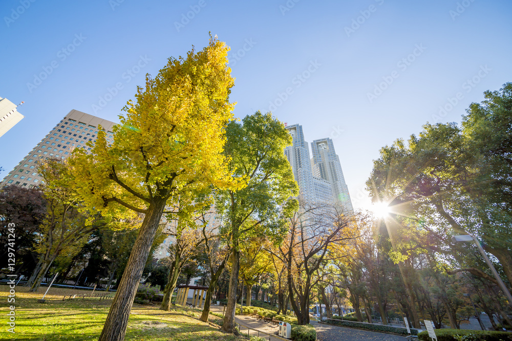 新宿の空