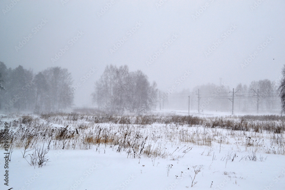 森林空地上的暴风雪