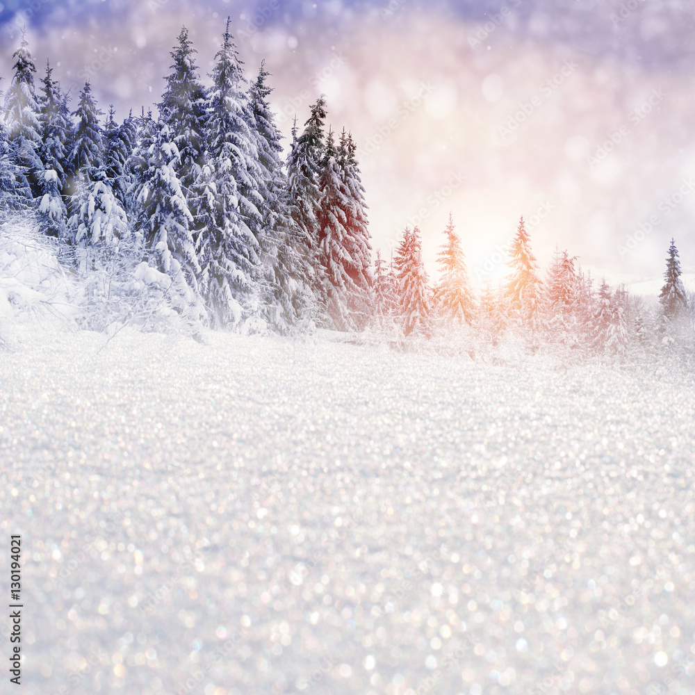 Winter landscape with snowy trees and snowflakes