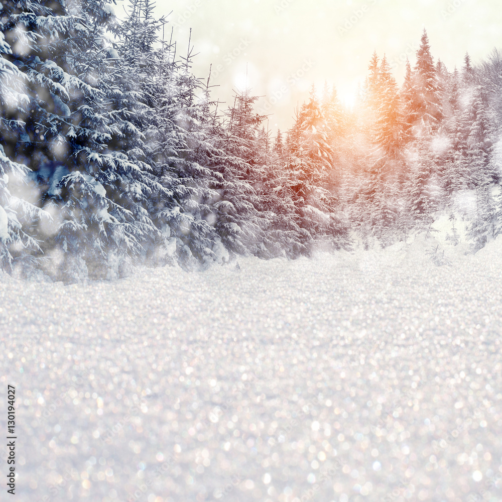 Winter landscape with snowy trees and snowflakes