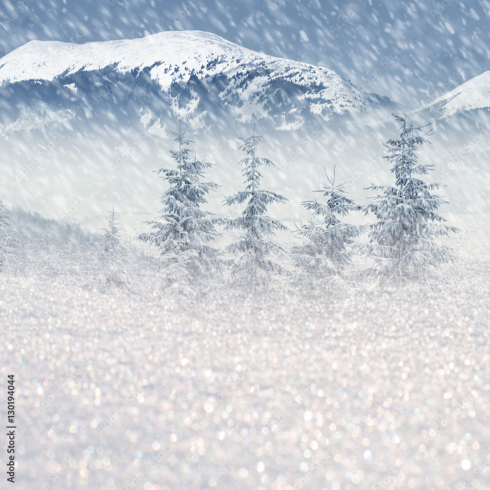 Winter landscape with snowy trees and snowflakes