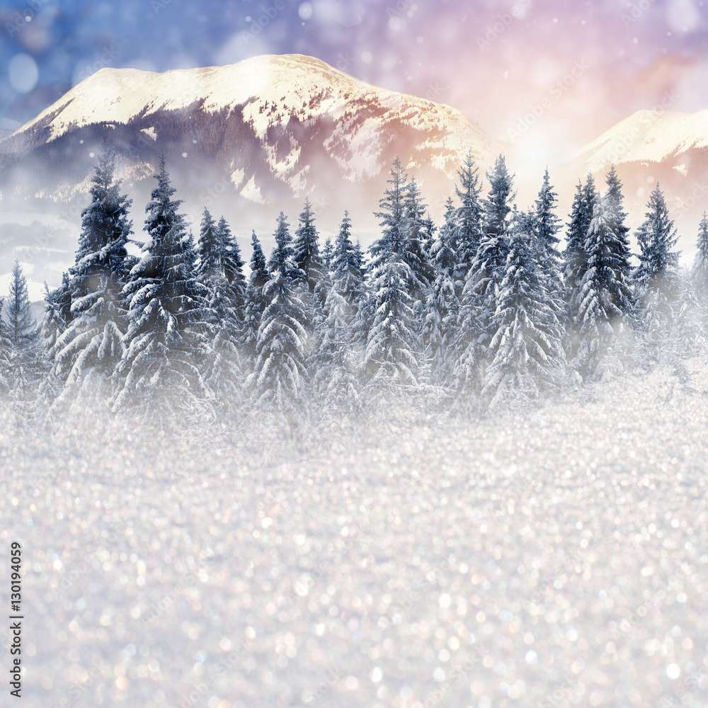 Winter landscape with snowy trees and snowflakes