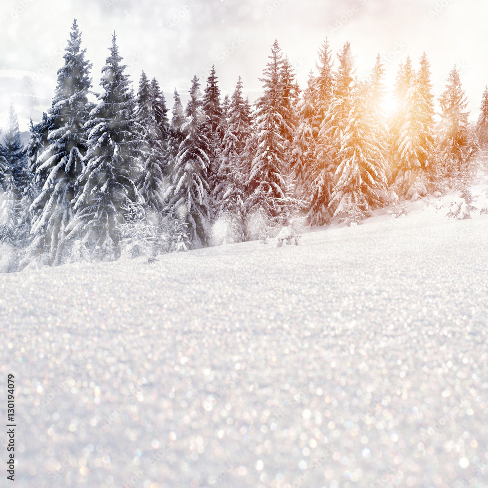 Winter landscape with snowy trees and snowflakes