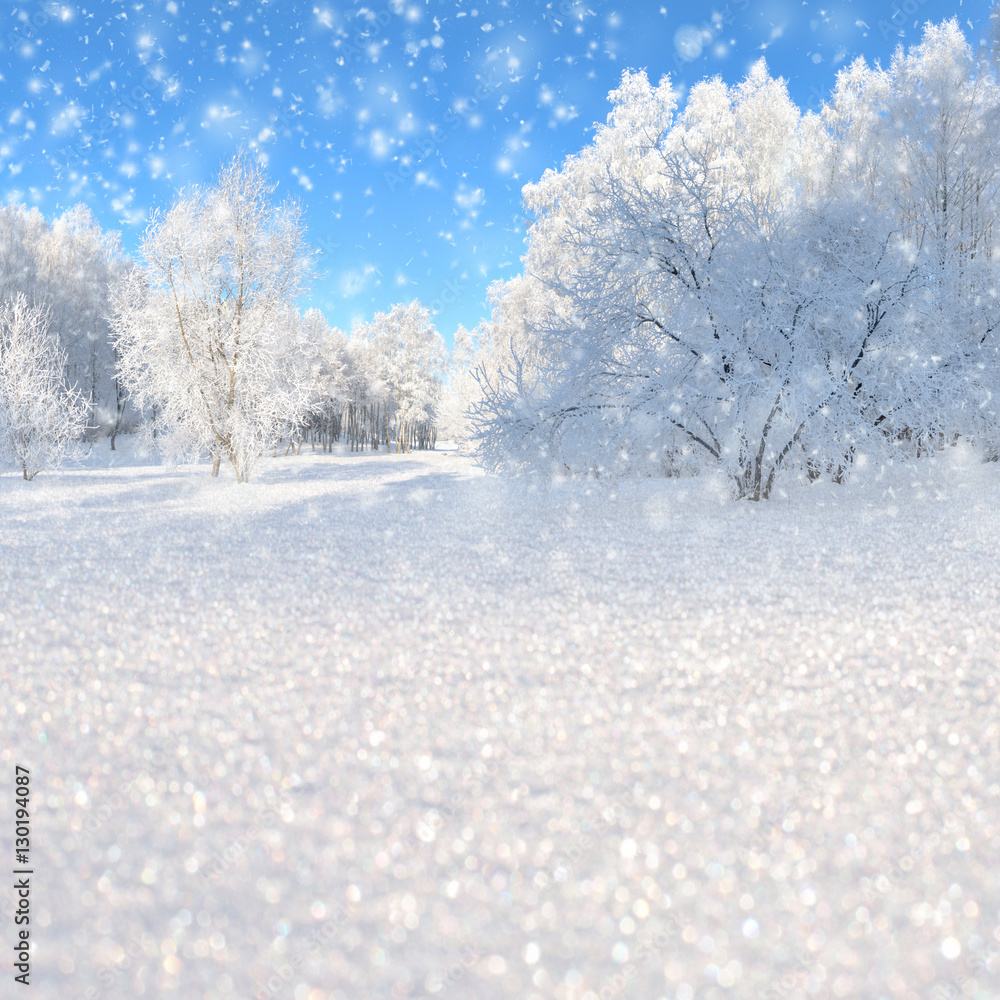 Winter landscape with snowy trees and snowflakes