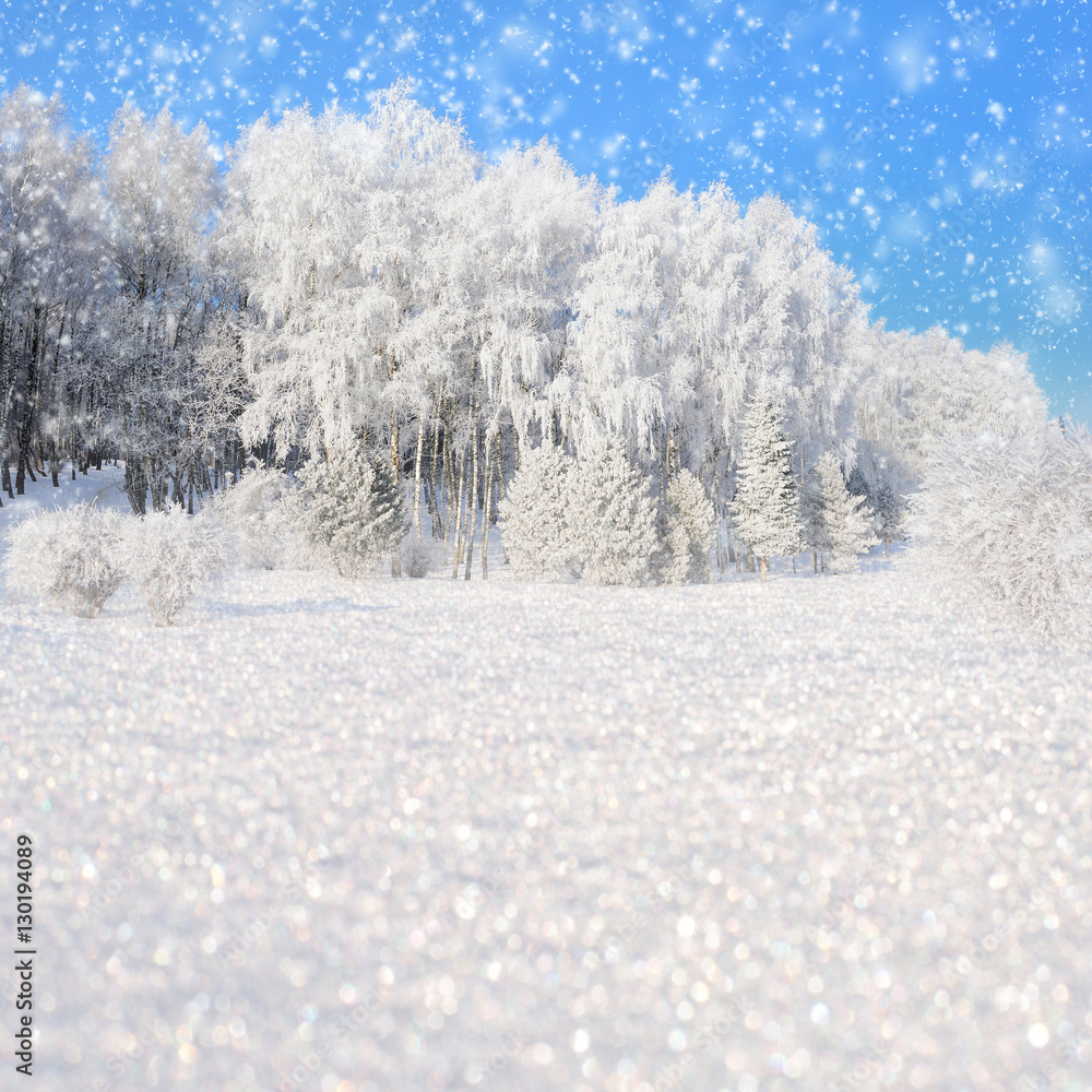 Winter landscape with snowy trees and snowflakes