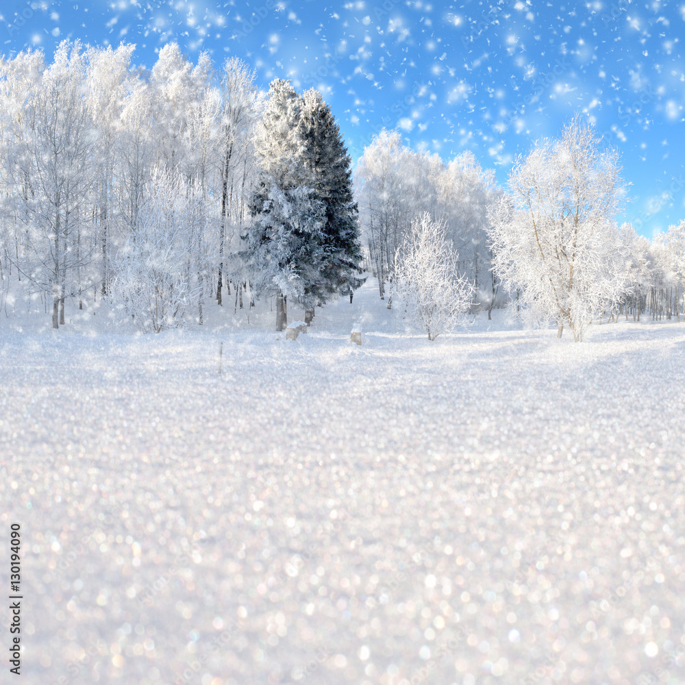 白雪皑皑的树木和雪花构成的冬季景观