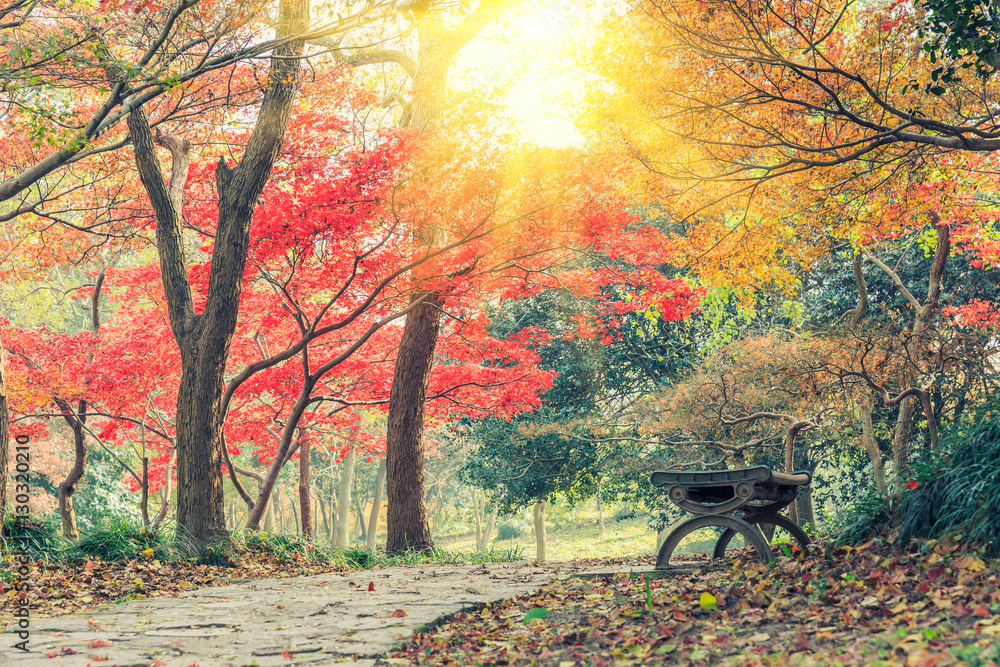 Autumn landscape in the park