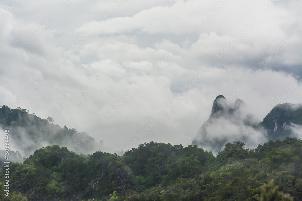 landscape of mountain and fog , Krabi ,Thailand