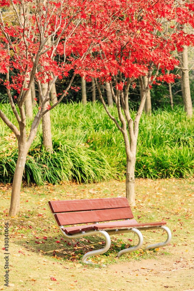 Autumn landscape in the park