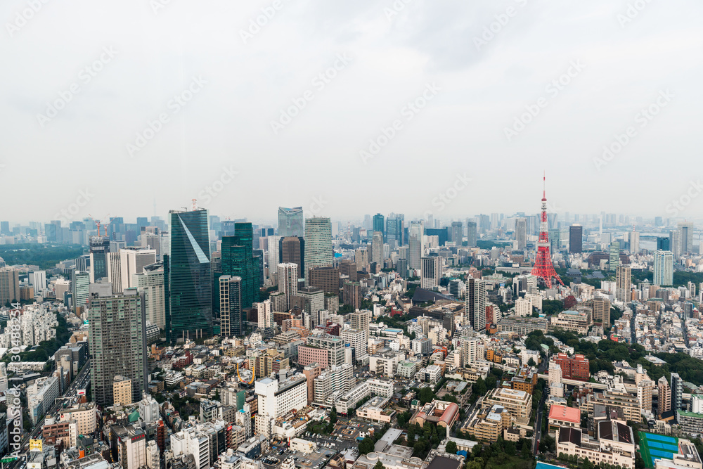 Aerial view of Tokyo Skyline Tokyo, Japan