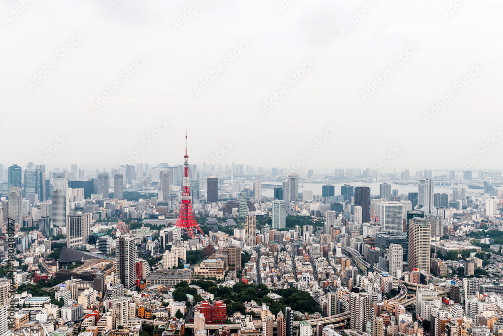 Aerial view of Tokyo Skyline Tokyo, Japan