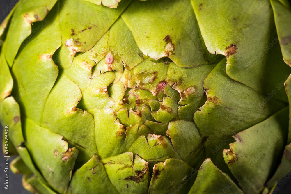 アーティチョーク　食用あざみ　 Artichoke