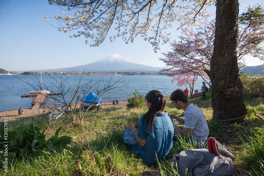 A couple is having a picnic under Cherry Blossom tree with Mount Fuji scene  in Japan.