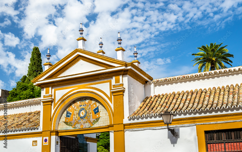 Buildings in the city centre of Seville, Spain