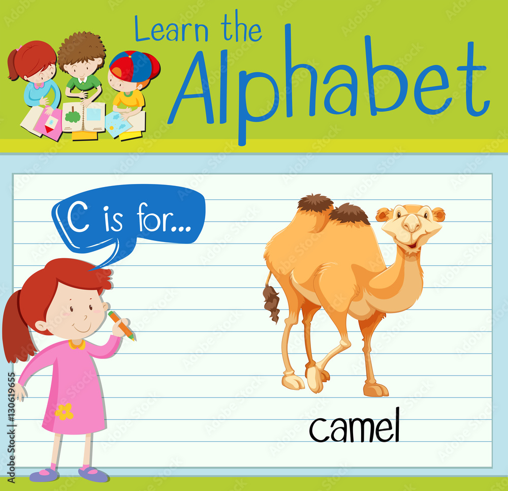 Flashcard letter C is for camel