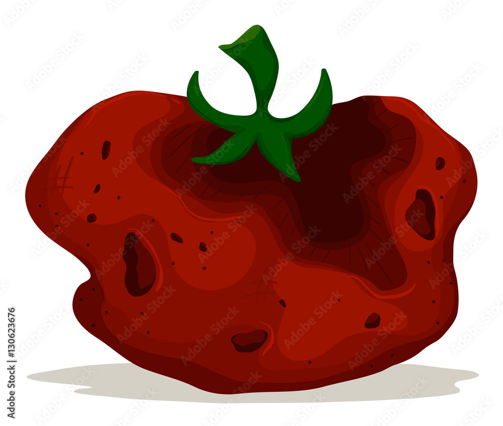 Rotten tomato on white background