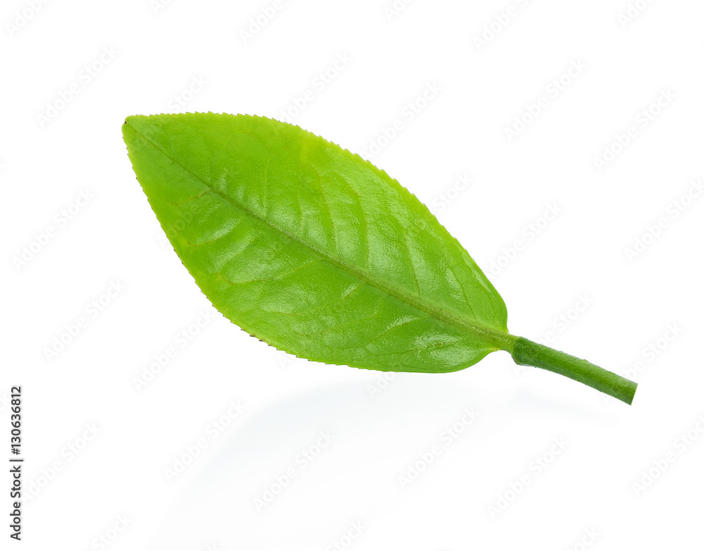 Green tea, The tea leaves isolated on white background