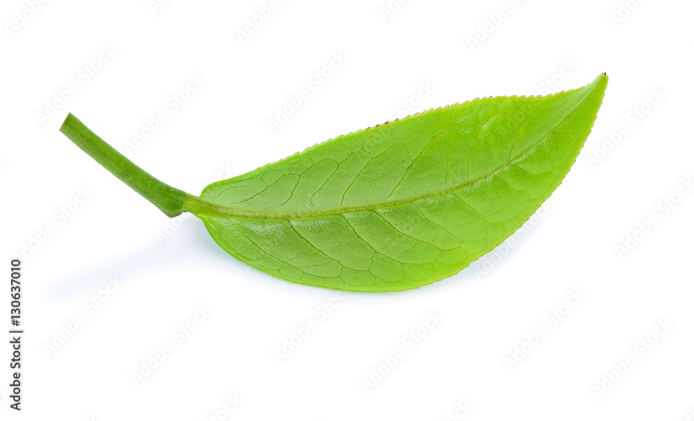 Green tea, The tea leaves isolated on white background