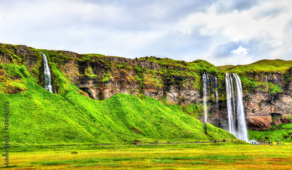 View of Seljalandsfoss waterfall - Iceland