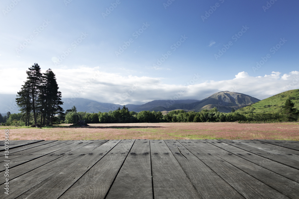 新西兰夏日牧场木地板