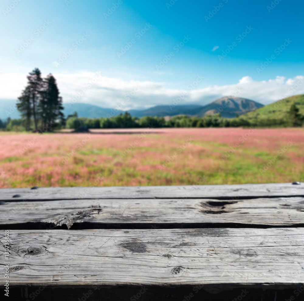 wood floor with pasture in summer sunny day in New Zealand