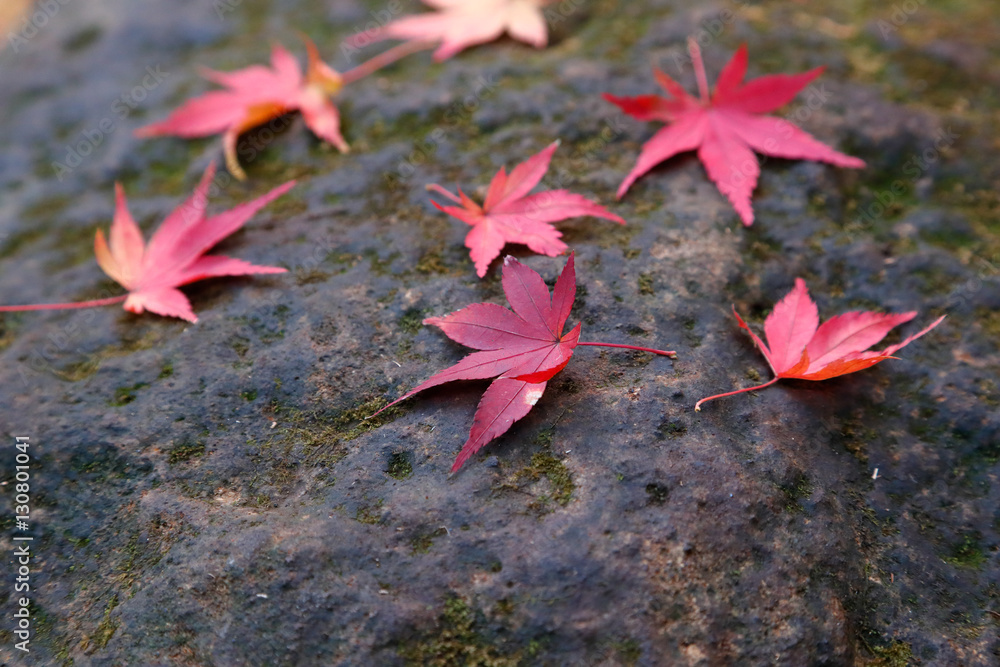 紅葉