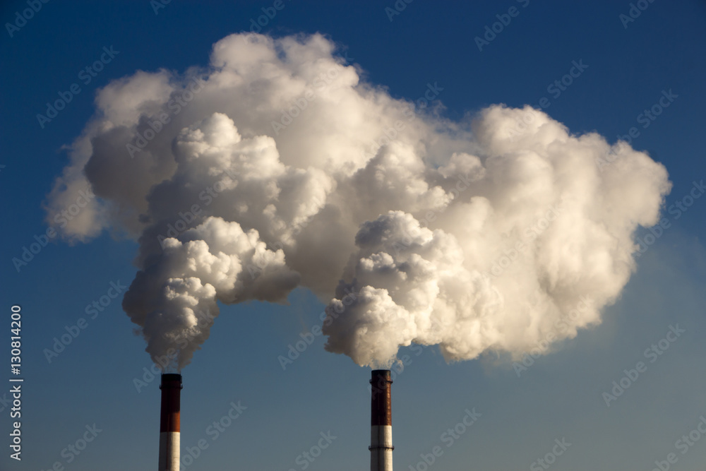 the smoke from the pipe of the plant, the emission  harmful gases into the atmosphere, greenhouse ef