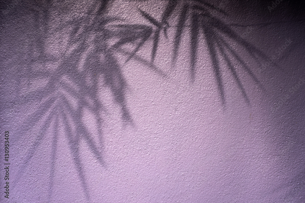 shadow of leaves on pink wall