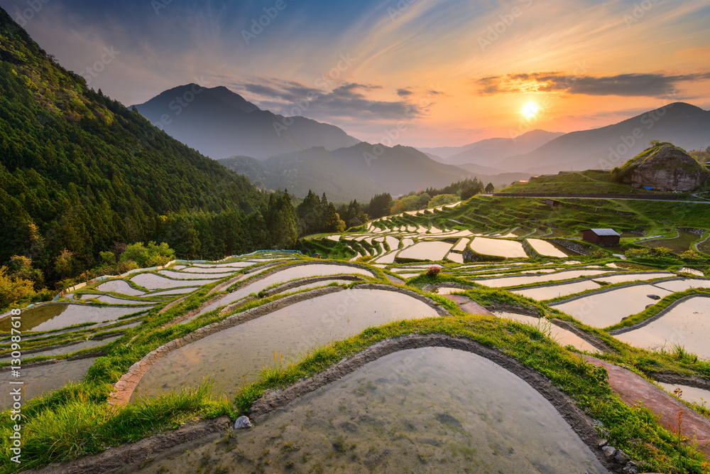 日本的梯田