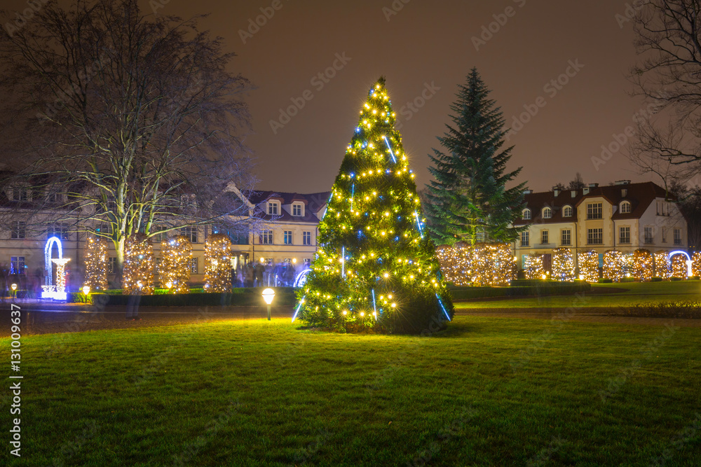 Beautiful Christmas tree illuminated at the park oliwski of Gdansk, Poland