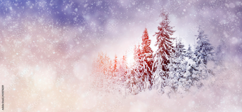 Winter background with snowy trees and snowflakes