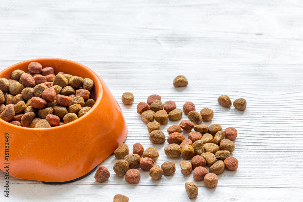 dry dog food in bowl on wooden background