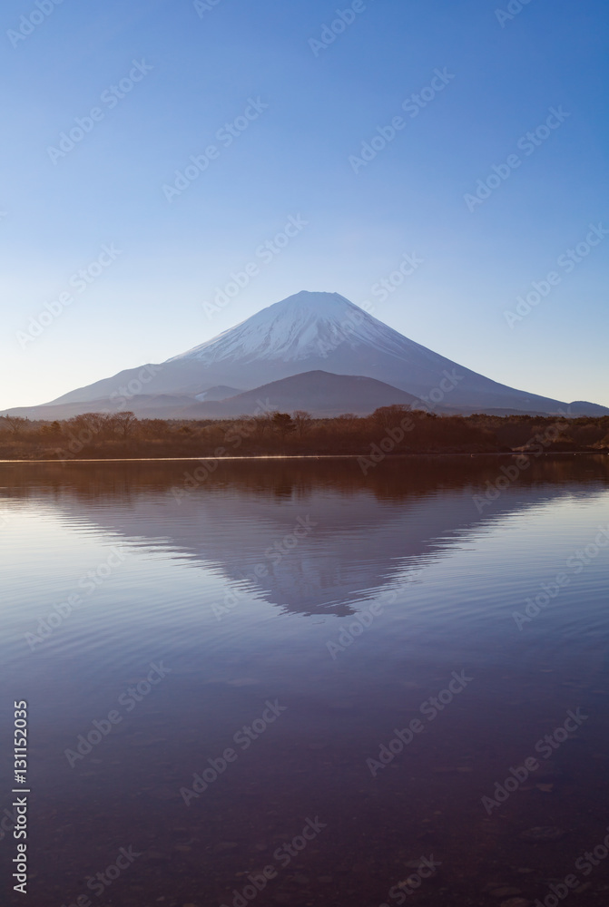 Mountain Fuji and Lake Shoji in morning