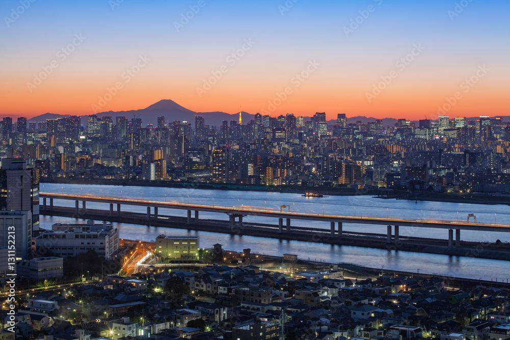 Tokyo city view with Mount Fuji and Tokyo tower landmark