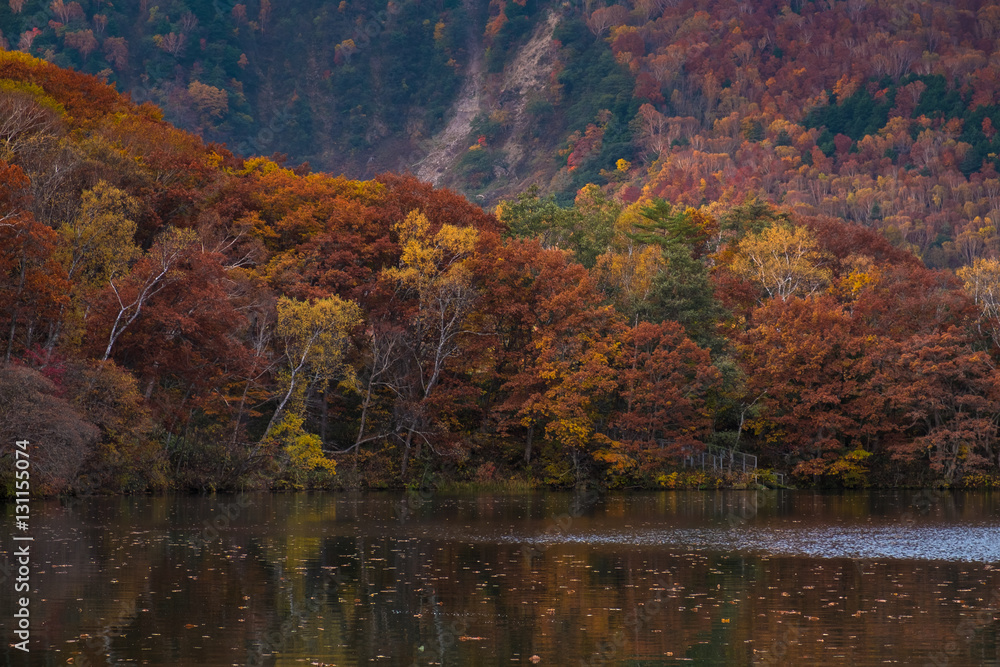 Beautiful autumn scene at Biwa lake on Mt.Shigakogen, Japan.