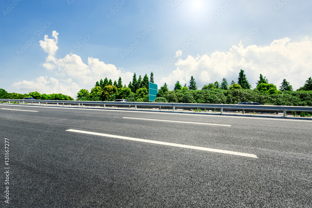 Asphalt road and forest