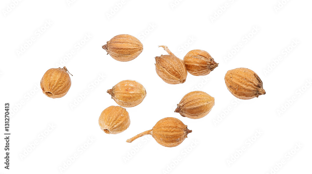 coriander. dry coriander seeds isolated on white background