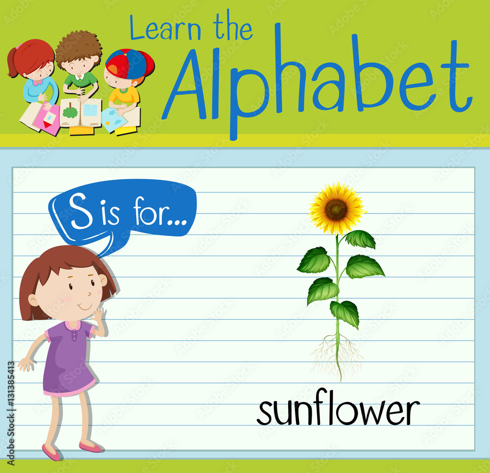 Flashcard letter S is for sunflower