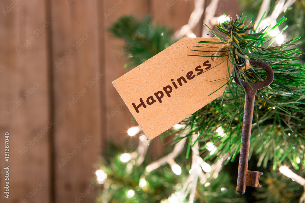 Christmas wishes concept - key with inscription on tag