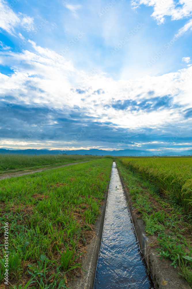 水路のある風景