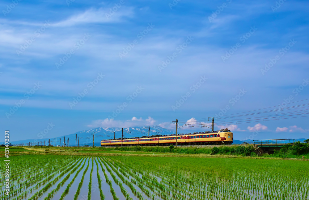 春の羽越本線