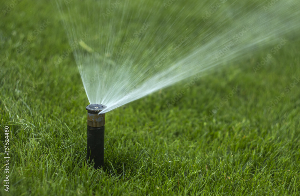 automatic sprinkler system watering the lawn on a background of green grass