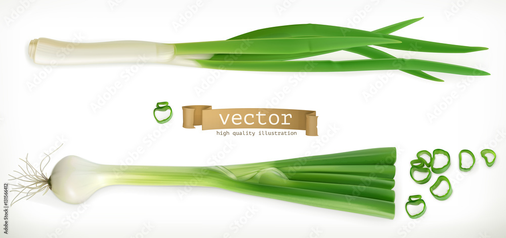 Green onion. Vegetable 3d vector icon