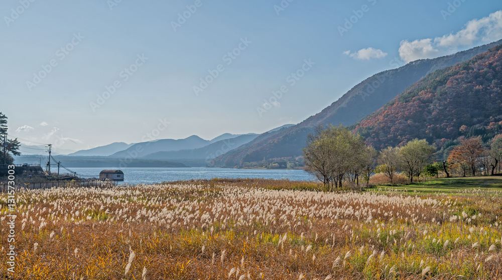 Lake Saiko with grass field