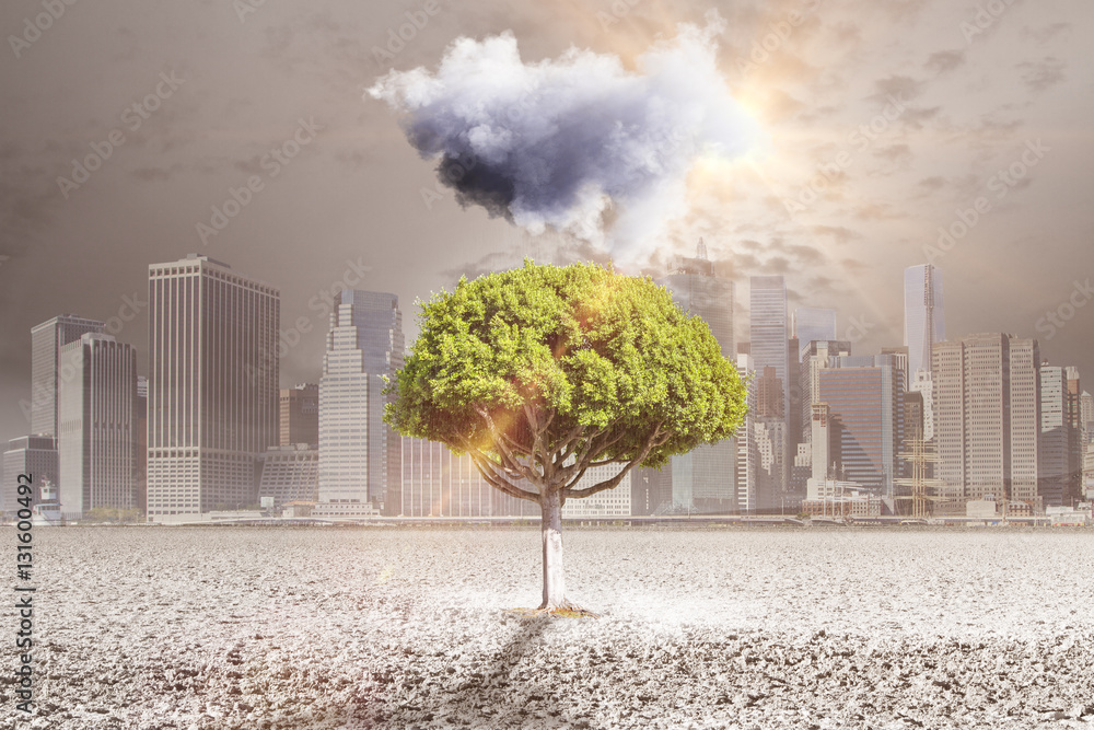 Tree with rainy cloud