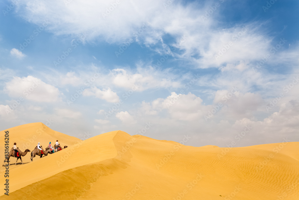 camel team in desert