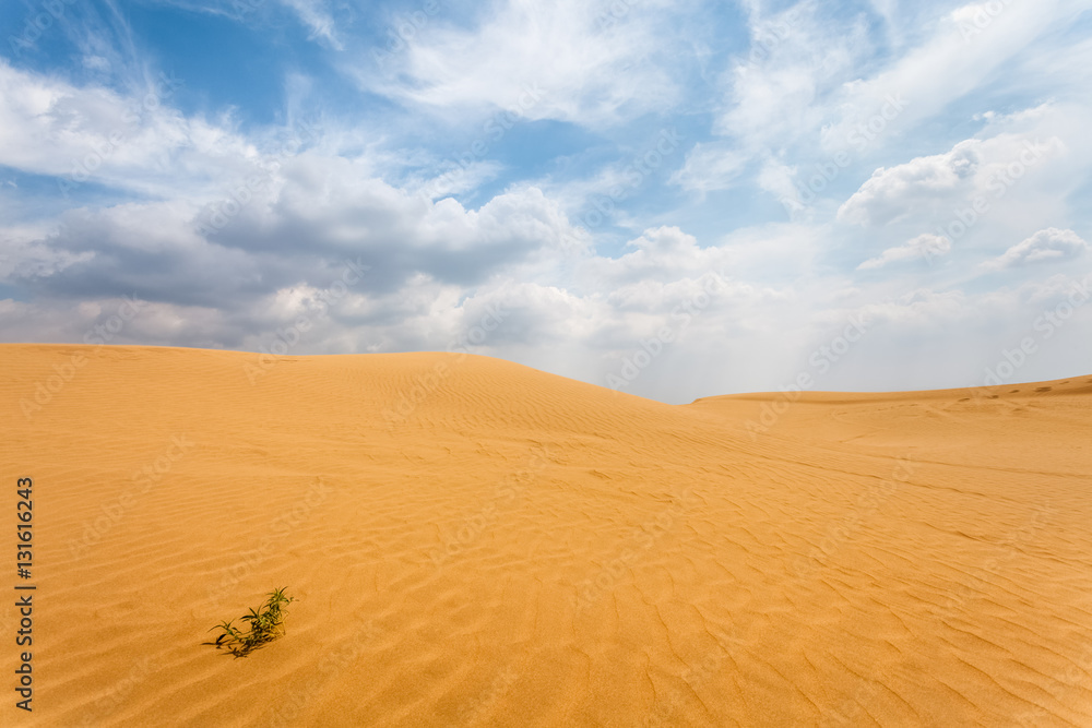 desert dunes background