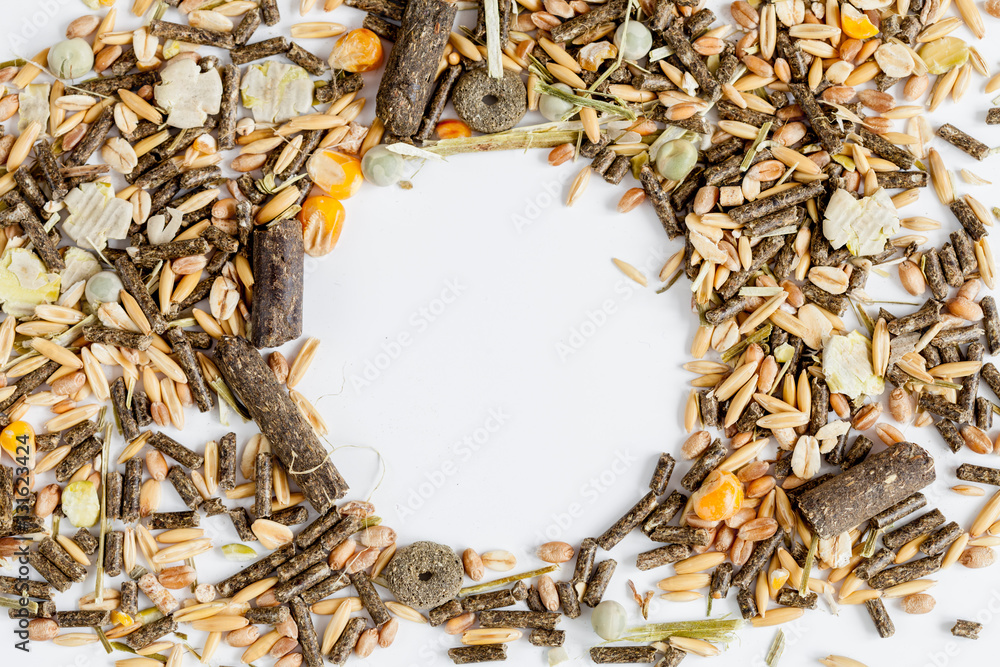 dry food for rodents on white background top view